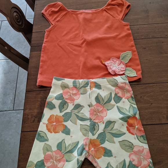 Gymboree Other - Gymboree Hibiscus flower girls set